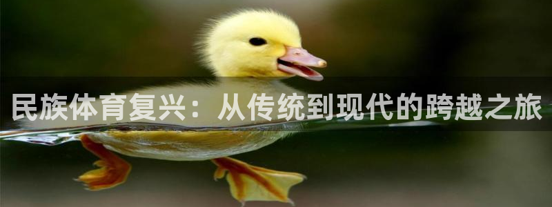 kok中欧体育