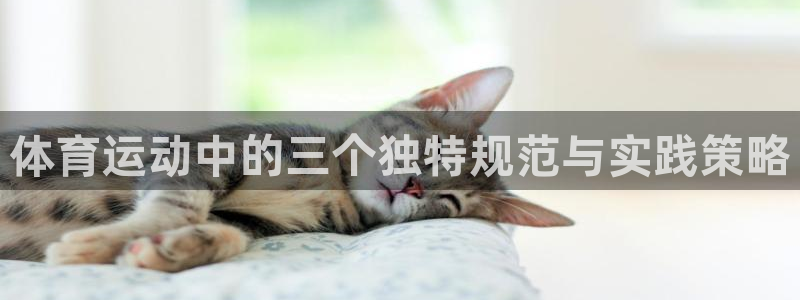 中欧体育下载