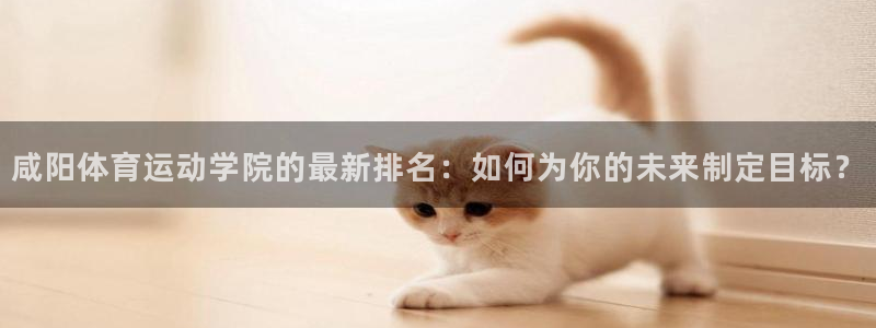 中欧体育zoty下载