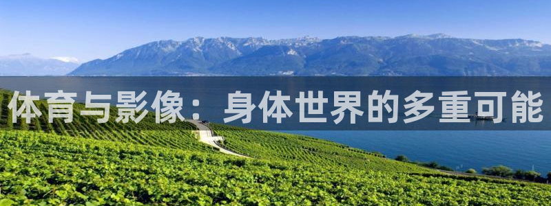中欧体育kok