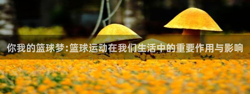 中欧体育官网入口