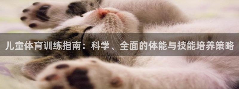 中欧体育zoty下载