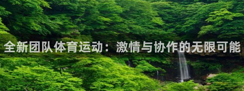 中欧体育在线