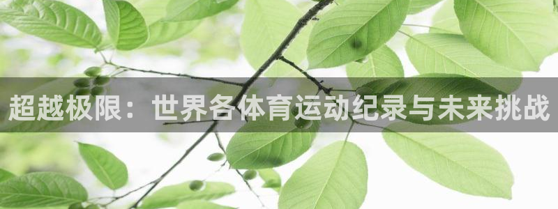 中欧体育网页登录
