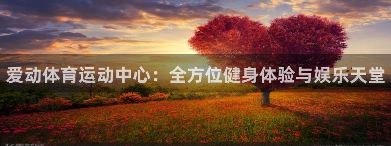 中欧体育