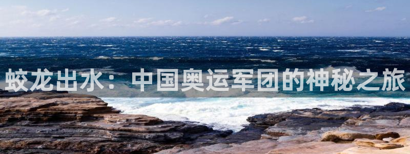 中欧体育官网入口