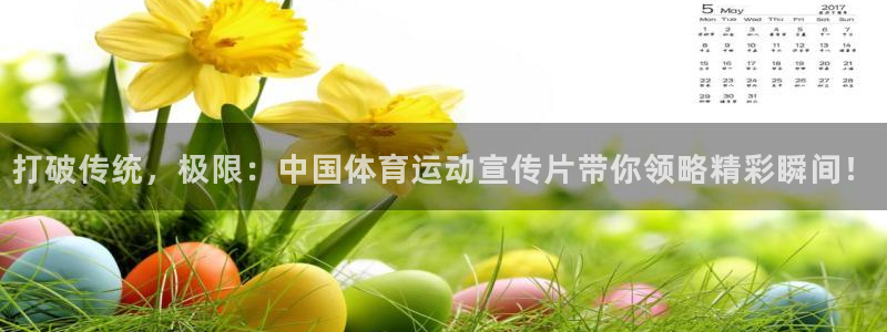 中欧体育官网