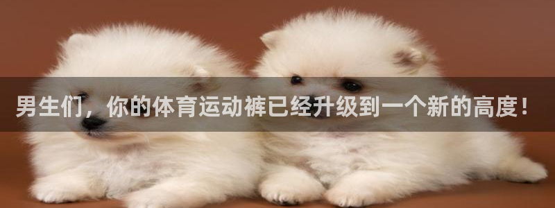 中欧体育kok