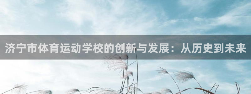 中欧体育网页版