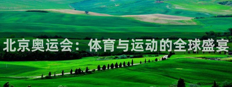 中欧体育网页版