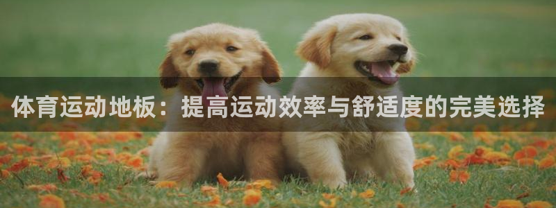 中欧体育李勇鸿